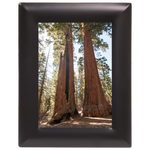 Metal Picture Frame